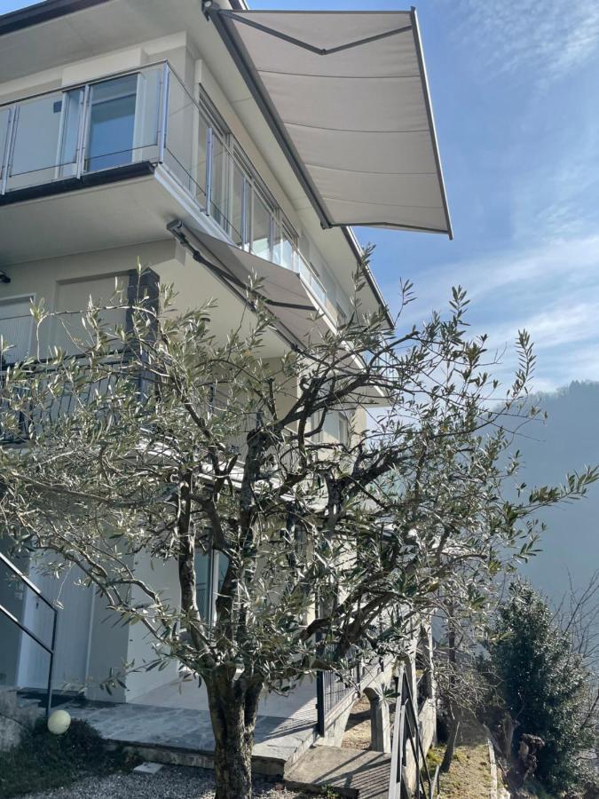 Casa Colmegna Mit Traumhaften See- Und Bergblick Luino Exterior foto
